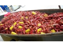 Outdoor Specialties & Cajun Cookouts